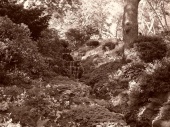 DSC08218.JPG